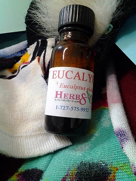 Eucalyptus Essential Oil  (Eucalyptus globulus)1/2 Ounce